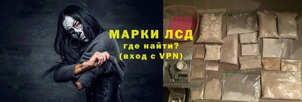 прущие грибы Аркадак