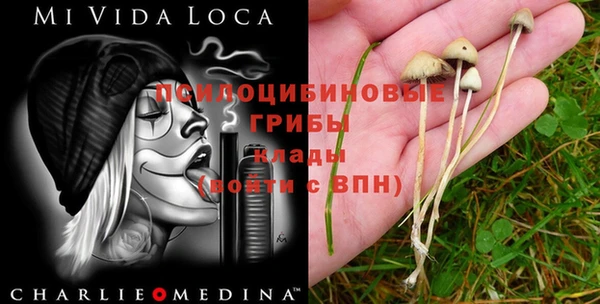 круглые Алексеевка