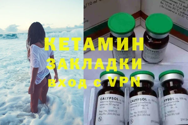 прущие грибы Аркадак