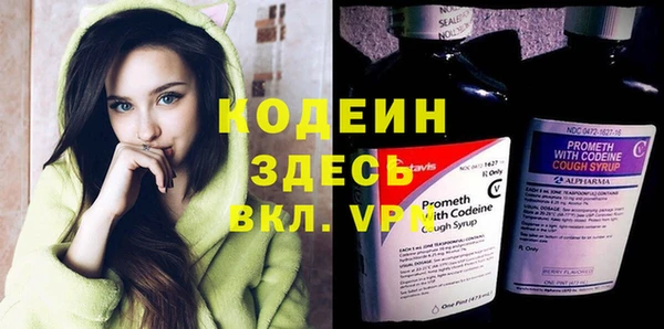 прущие грибы Аркадак