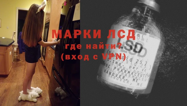 прущие грибы Аркадак