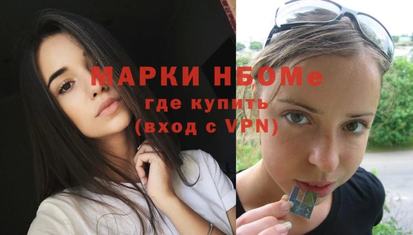 прущие грибы Аркадак