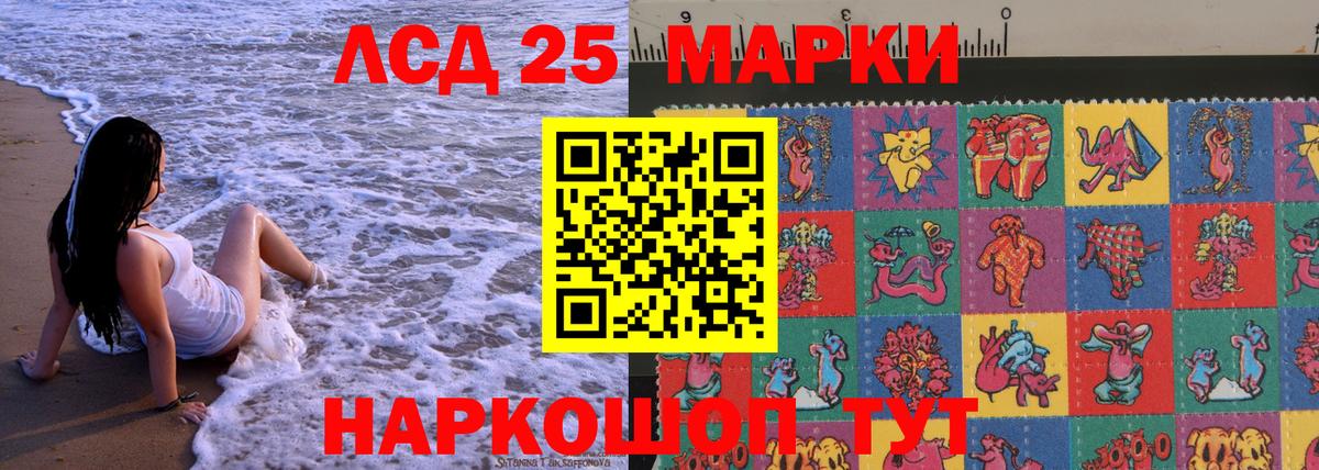 Волхов  Наркотические марки 1500мкг  Вход с VPN  Наркотические марки 1500мкг 