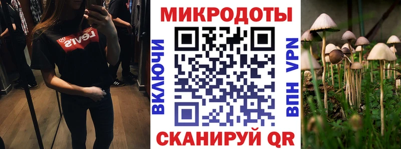 гидра   Волхов  Галлюциногенные грибы Psilocybine cubensis  закладки 