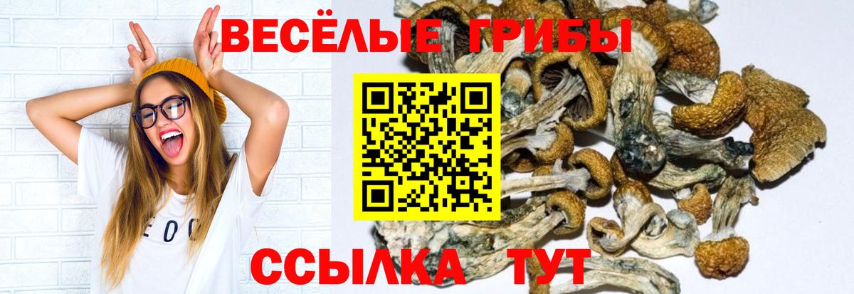 Псилоцибиновые грибы GOLDEN TEACHER Волхов